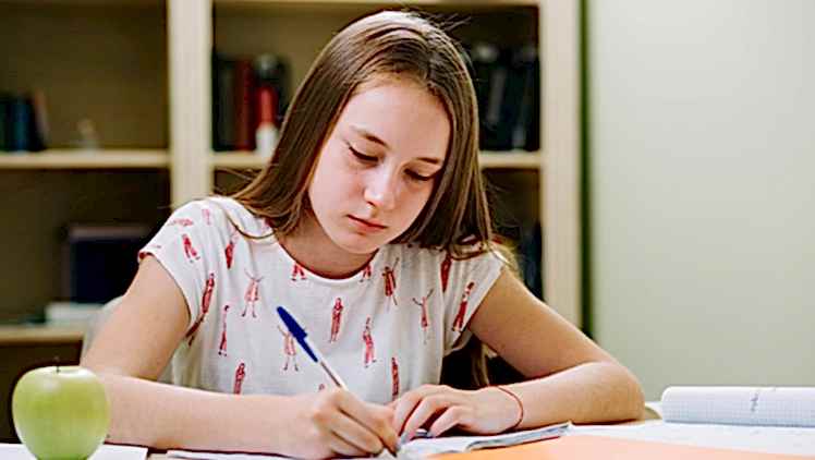 LGS’de Başarınızı Artıracak Stratejiler