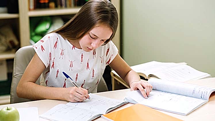 LGS’de Başarıyı Getiren 7 Öneri LGS’de Başarıyı Getiren 7 Öneri