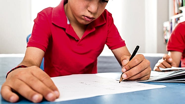 LGS ve YKS Adayları İçin Uzmanlardan Çalışma Tavsiyeleri LGS ve YKS Adayları İçin Uzmanlardan Çalışma Tavsiyeleri